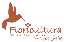 Floricultura Bellas Artes