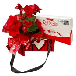 Flor com Rafaello