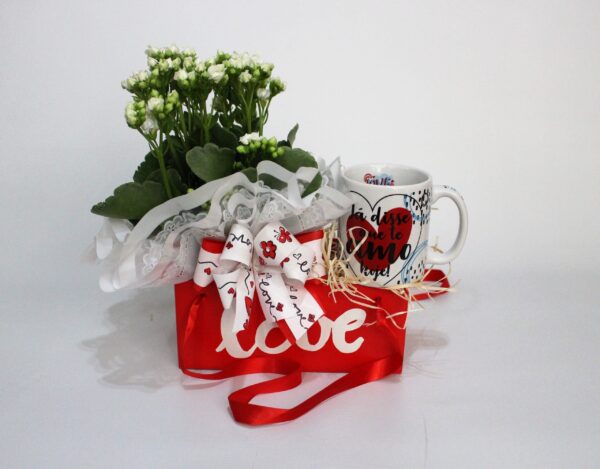 Caixa, Flor e Caneca