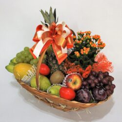 Cesta Tropical
