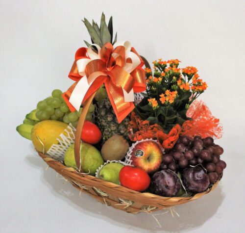 Cesta Tropical