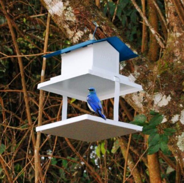 Comedouro de Pássaro