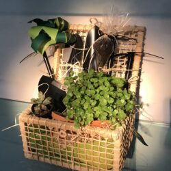 Cesta Kit Jardim