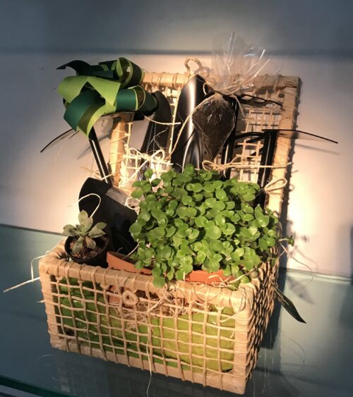 Cesta Kit Jardim
