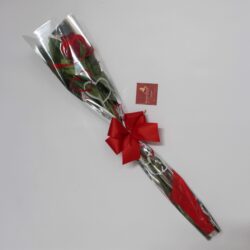 Botão de Rosa Embalado