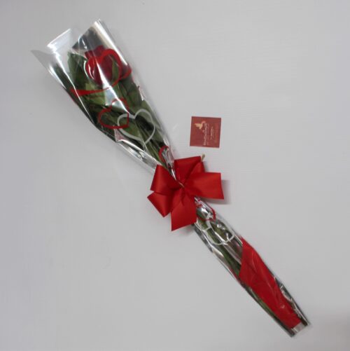Botão de Rosa Embalado